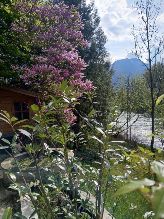 Apartments An Der Traun Bad Ischl Buitenkant foto